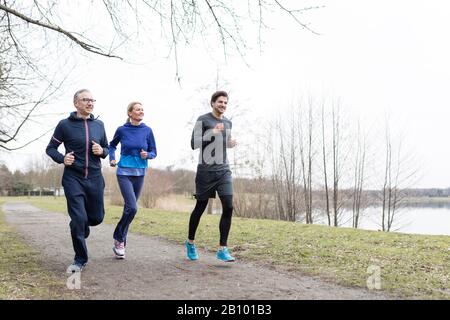 Middle-aged couple exercising with personal trainer Stock Photo