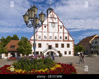 Town Hall at the market in Grimma, district Leipzig, Saxony, Germany Stock Photo