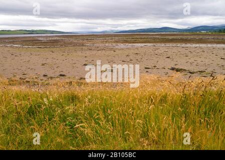 Landscape of the Cromarty Firth near Invergordon Scotland UK Stock Photo