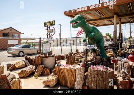 Petrified wood, Holbrook, Historic Route 66, Navajo County, Arizona, USA Stock Photo