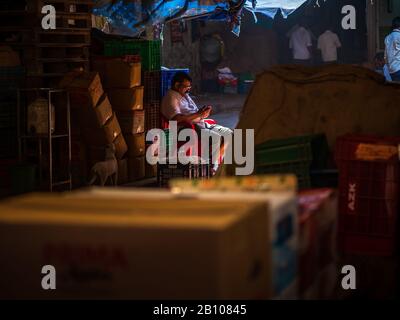 Mumbai, India - December 18, 2019: Unidentified man using mobile phone in Crawford market Stock Photo