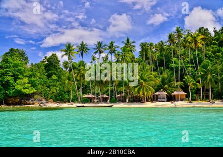 Beach with palm trees, Malenge Island, Tomini Bay, Togian Islands, Sulawesi, Indonesia Stock Photo