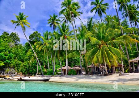 Beach with palm trees, Malenge Island, Tomini Bay, Togian Islands, Sulawesi, Indonesia Stock Photo