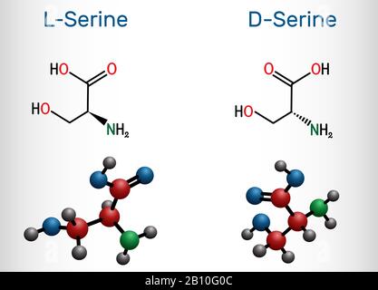 Stereoisomers of serine. D-serine and L-serine amino acid molecule. Structural chemical formula and molecule model. Vector illustration Stock Vector