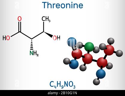 Threonine Is An Amino Acid. Chemical Molecular Formula Of Threonine ...