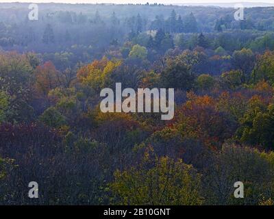 Evening sun over the Hainich from the treetop path in the National Park, Thuringia, Germany Stock Photo