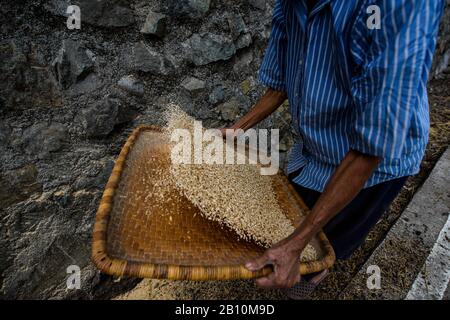 Rice pounding, Cordilleras, Northern Luzon, Philippines Stock Photo