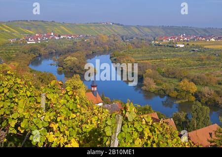 Vineyards with Escherndorf and Nordheim near Köhler, Mainfranken, Bavaria, Germany Stock Photo