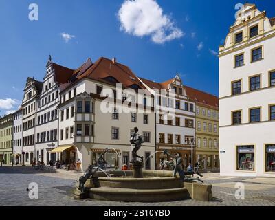 Houses on the market with Marktbrunnen, Torgau, Saxony, Germany Stock Photo