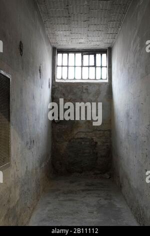 Cell in the basement, wing 'U-Boot', former Stasi prison, Hohenschönhausen Memorial, Berlin, Germany Stock Photo