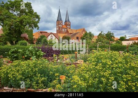 Monastery garden with Jerichow monastery church, Saxony-Anhalt, Germany Stock Photo