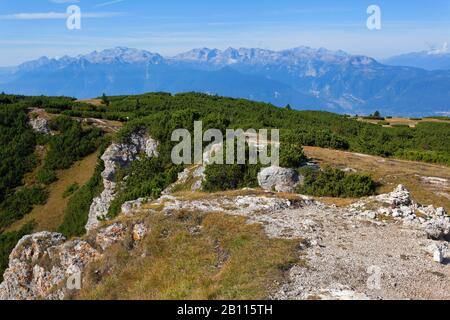 hiking area Monte Roen near Mendel pass, Italy, South Tyrol, Trentino ...