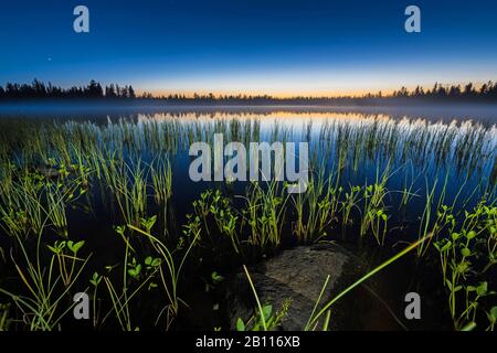 dusk at a forest lake, Sweden, Lapland, Norrbotten Stock Photo