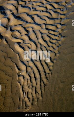 patterns in the wadden sea, Netherlands Stock Photo