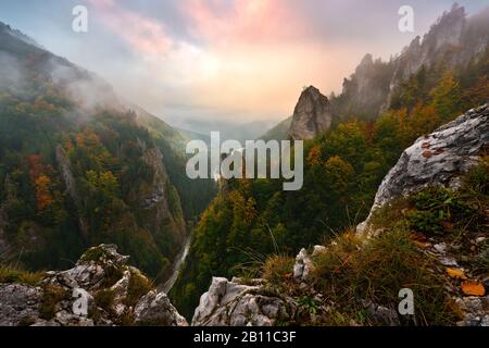 Autumn forest in the Small Fatra, Mala Fatra, Carpathians, Slovakia, Europe Stock Photo