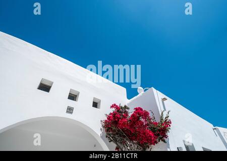 Mykonos Island, Cyclades, Aegean, Greece Stock Photo