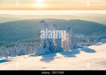 Winter landscape at the Brocken in the Harz National Park, Saxony Anhalt, Germany Stock Photo