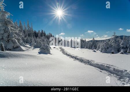 Snowshoe hike in the Harz National Park, Saxony Anhalt, Germany Stock Photo