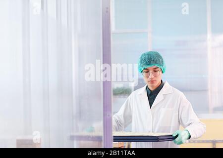 Serious young Asian scientist in eyeglasses and in white coat working in the laboratory Stock Photo