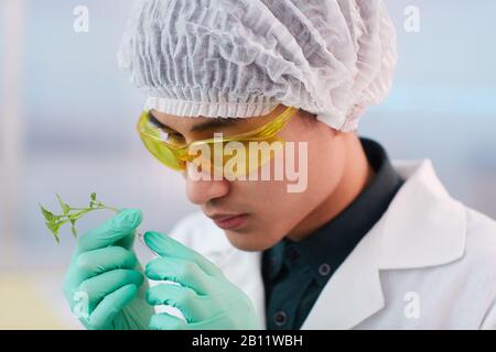 Asian young botanist in protective glasses holding sprout in his hand and examining it in the lab Stock Photo
