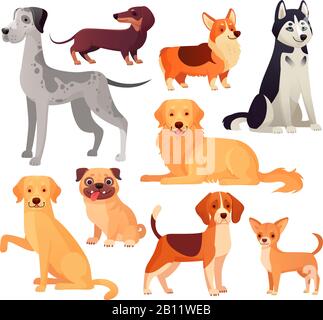 Dogs pets character. Labrador dog, golden retriever and husky. Cartoon vector isolated illustration set Stock Vector