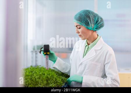 Young woman in white coat standing near the young plants and measuring them with tape measure in the lab Stock Photo