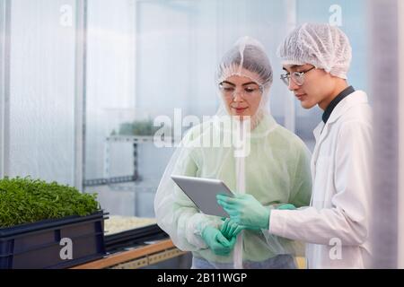 Two scientists in protective clothing using digital tablet while working with young plants in the lab Stock Photo