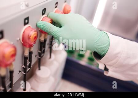 Close-up of scientist in protective gloves using special equipment in his work in the laboratory Stock Photo