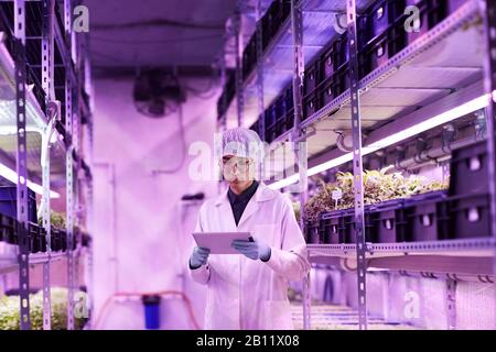 Asian young botanist standing and using digital tablet and working with seedlings in greenhouse Stock Photo