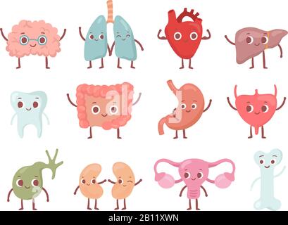 Healthy biological organ. Smiling lung, happy heart and funny brain. Smile organs cartoon isolated character vector set Stock Vector