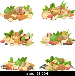 Nuts bunch. Fruit kernels, dried almond nut and cooking seeds isolated vector set Stock Vector