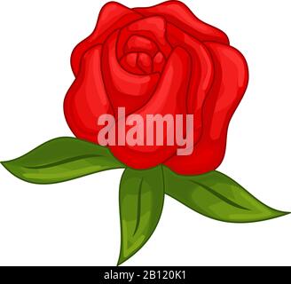 Vector floral botanical flower Illustration Color Ornament Stock Vector