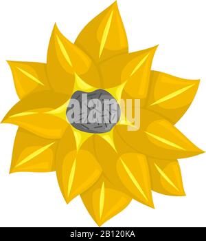 Vector floral botanical flower Illustration Color Ornament Stock Vector