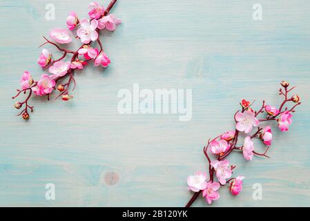 Abstract spring background of painted blue board with two flowering cherry branches covered with pink flowers Stock Photo