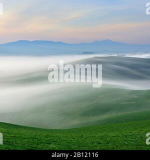 Morning mist flows over hills at sunrise in Val dñíOrcia near San Quirico dñíOrcia, Province of Siena, Tuscany, Italy Stock Photo