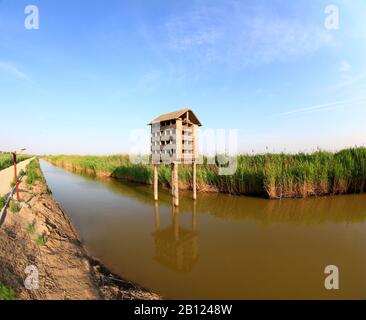 Wetland park of the bird's nest Stock Photo