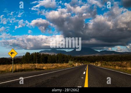The Road to Fate Mountain from Lord of the Rings and Sign Attention Kiwis on the Road, Mount Ngauruhoe, North Island, New Zealand Stock Photo