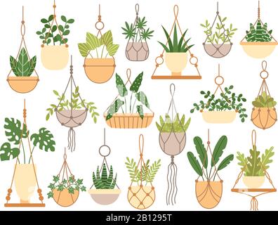 Plants in hanging pots. Decorative macrame handmade hangers for flower pot, hang indoor plants isolated vector set Stock Vector