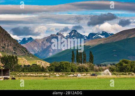 Eyre Mountains, view from SH6 south of Kingston, Southland Region, South Island, New Zealand Stock Photo