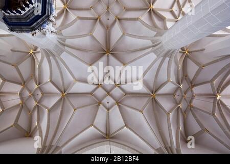 Star vault in the church St.Johannis in Plauen, Vogtland, Saxony, Germany Stock Photo