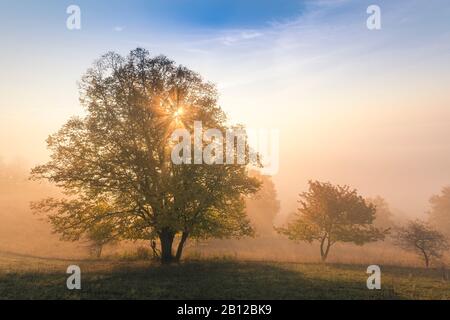 Sunrise at the Leuchtenburg, fog, autumn, Thuringia, Germany Stock Photo