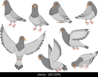 Cartoon pigeon. City dove bird, flying pigeons and town birds doves isolated vector illustration set Stock Vector