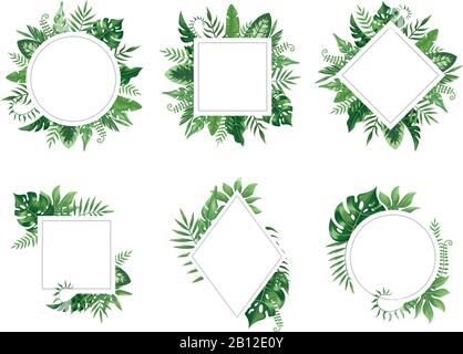 Exotic leaf frame. Spring leaves card, tropical tree frames and vintage floral jungle border isolated vector set Stock Vector