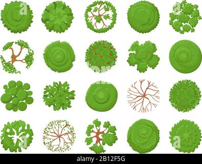 Top view tree. Planting green trees, park map vegetation and tropical forest maps viewing from above vector illustration set Stock Vector