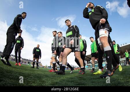 Newcastle, UK. 15th Jan, 2019. NEWCASTLE UPON TYNE, ENGLAND - FEBRUARY 22ND Falcons players commence their warm up before the Greene King IPA Championship match between Newcastle Falcons and London Scottish at Kingston Park, Newcastle on Saturday 22nd February 2020. (Credit: Chris Lishman | MI News) Credit: MI News & Sport /Alamy Live News Stock Photo