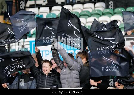Newcastle, UK. 15th Jan, 2019. NEWCASTLE UPON TYNE, ENGLAND - FEBRUARY 22ND Young Falcons supporters wave their flags during the Greene King IPA Championship match between Newcastle Falcons and London Scottish at Kingston Park, Newcastle on Saturday 22nd February 2020. (Credit: Chris Lishman | MI News) Credit: MI News & Sport /Alamy Live News Stock Photo
