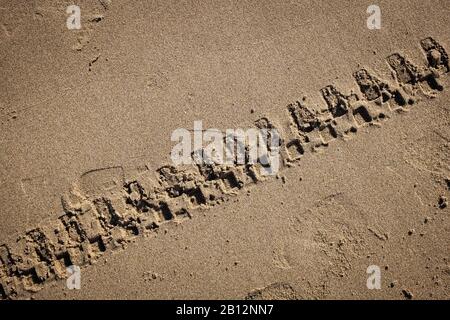 Tyre tracks on a golden sand beach. Puglia region, Italy Stock Photo