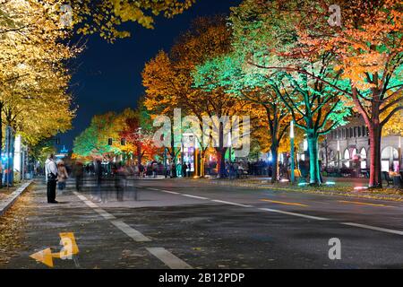 Illuminated linden trees,tourists,Unter den Linden,Festival of Lights,Berlin,Germany,Europe Stock Photo