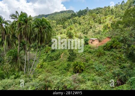 Small farmstead amidst lush tropical vegetation high in the Sagalla Hills of Southern Kenya near the town of Voi Stock Photo