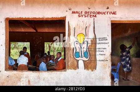 Biology lesson in a classroom of a primary school near Voi in Southern Kenya Stock Photo